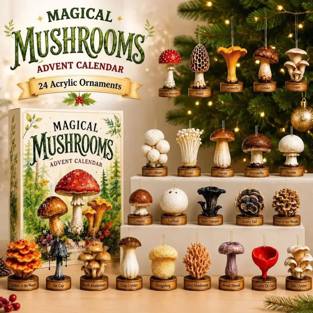 Mushroom Advent Calendar 2026 with 24 Acrylic Ornaments Holiday Countdown Gift for Mushroom Lovers_2