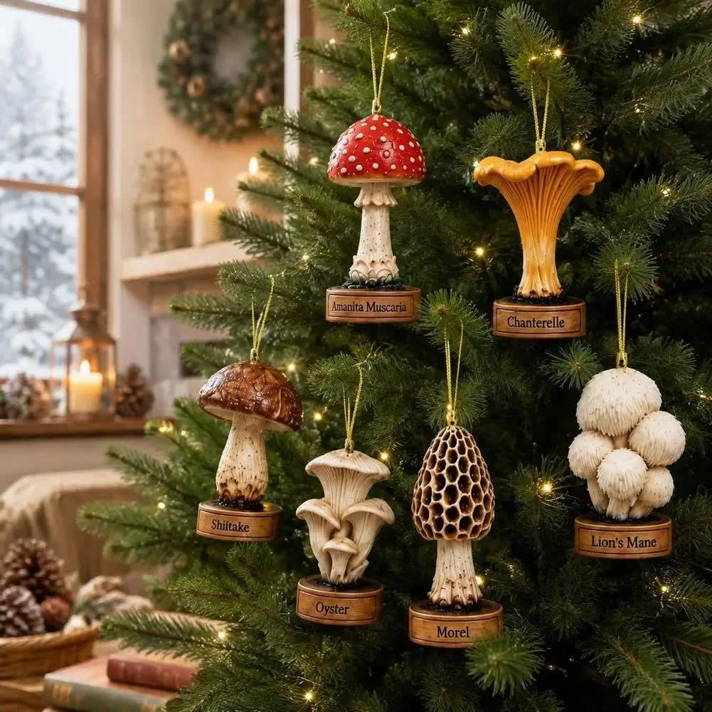 Mushroom Advent Calendar 2026 with 24 Acrylic Ornaments Holiday Countdown Gift for Mushroom Lovers_3