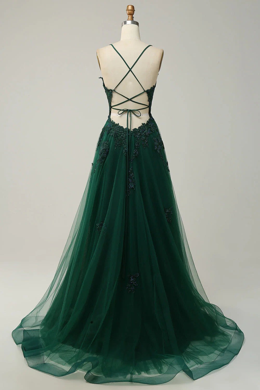 Dorothea Lace Applique Tulle Wedding Guest Maxi Dress_6