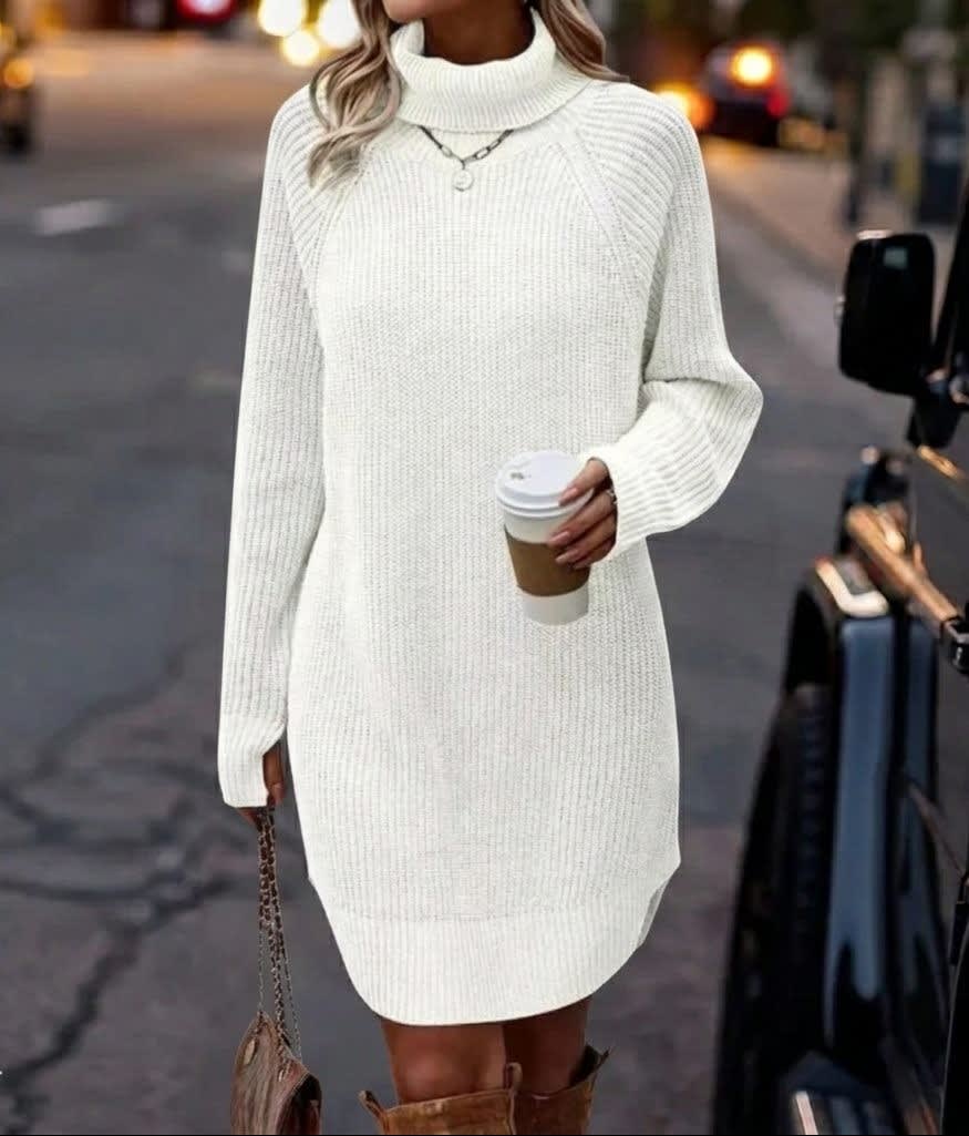 Claudia Ribbed Knit Turtleneck Sweater Dress_5