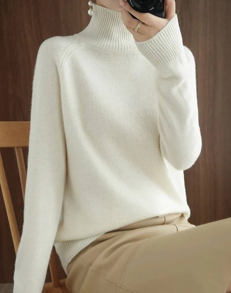 Nephele Ribbed Knit Turtleneck Sweater_4