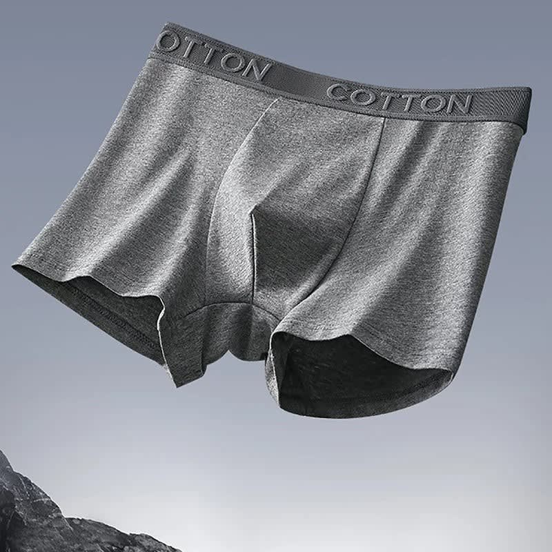 Leandro Moisture Wicking Organic Cotton Boxer Briefs_6