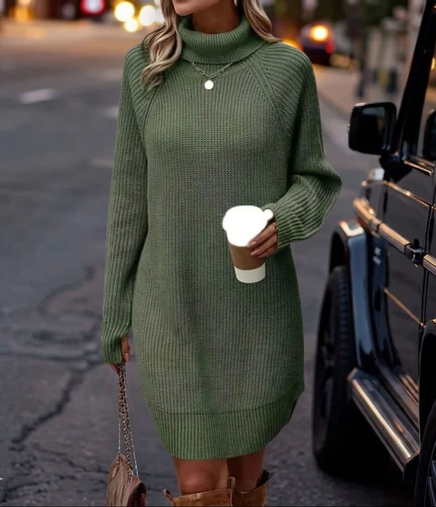 Claudia Ribbed Knit Turtleneck Sweater Dress_4