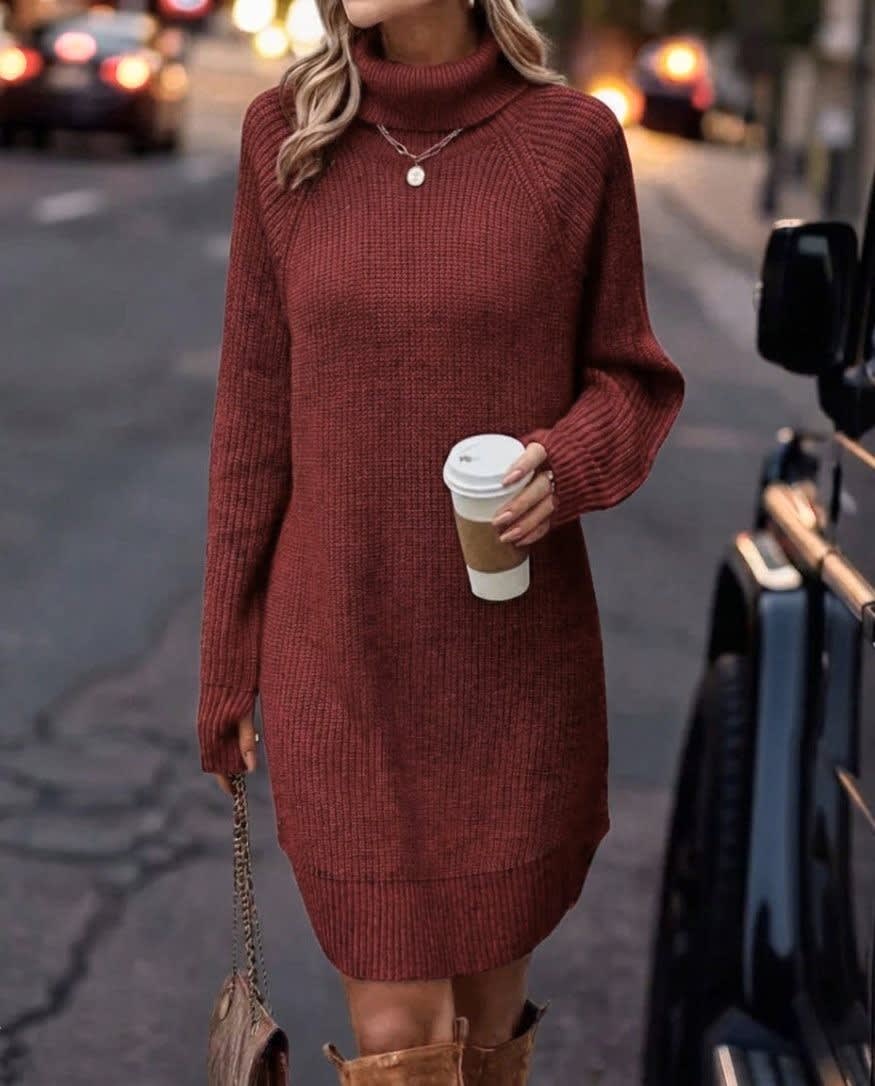 Claudia Ribbed Knit Turtleneck Sweater Dress_6