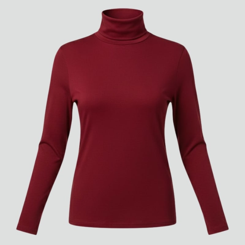 Gabriella Slim Fit Knit Turtleneck_1