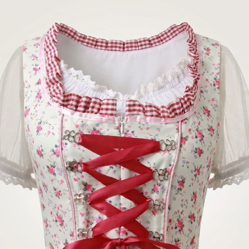 Snezana Floral Gingham Dirndl Dress_5