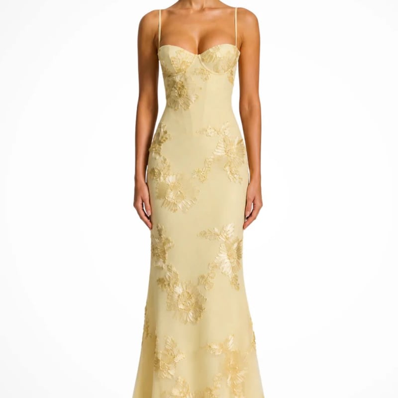 Octavia Embroidered Corset Wedding Guest Maxi Dress_1