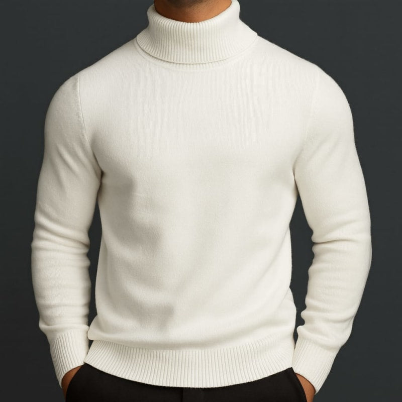 Bradley Merino Wool Turtleneck Sweater_1
