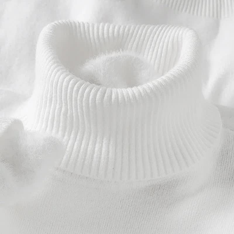 Bradley Merino Wool Turtleneck Sweater_4