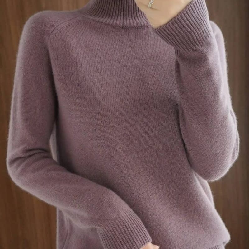 Nephele Ribbed Knit Turtleneck Sweater_1