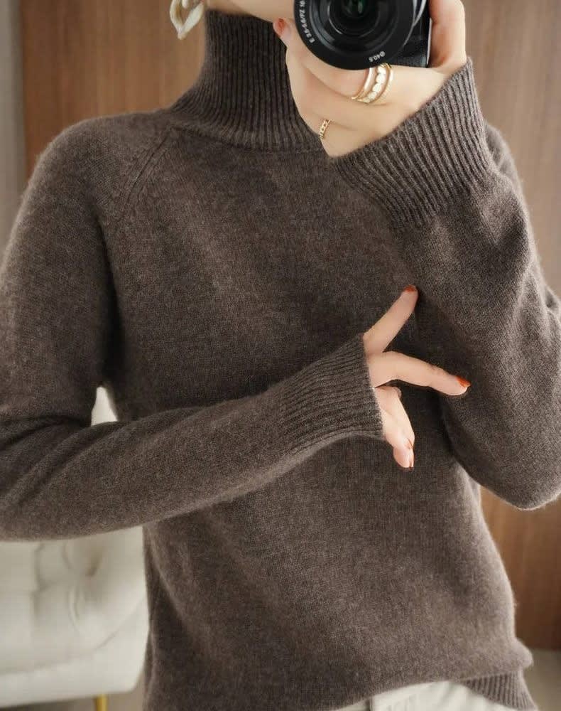Nephele Ribbed Knit Turtleneck Sweater_12