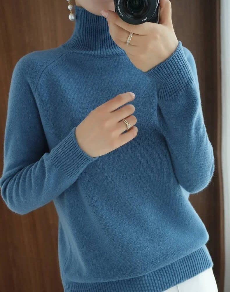 Nephele Ribbed Knit Turtleneck Sweater_3