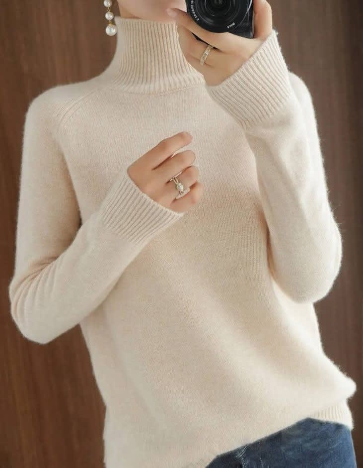 Nephele Ribbed Knit Turtleneck Sweater_5