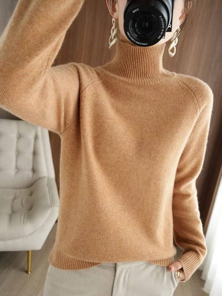 Nephele Ribbed Knit Turtleneck Sweater_8